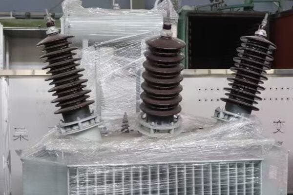Transformer with plant-based oil being filled