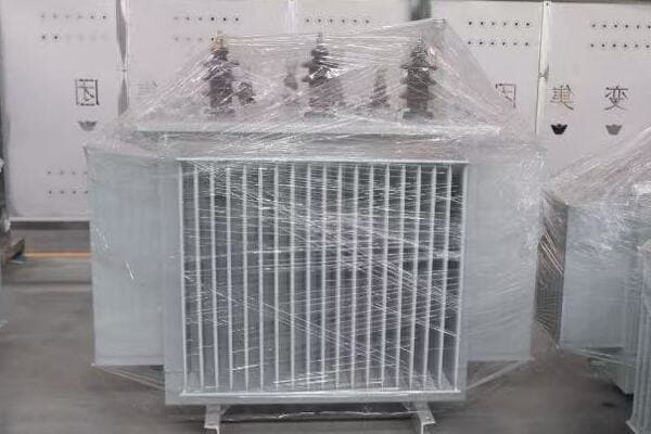 Technician inspecting a transformer for signs of trouble